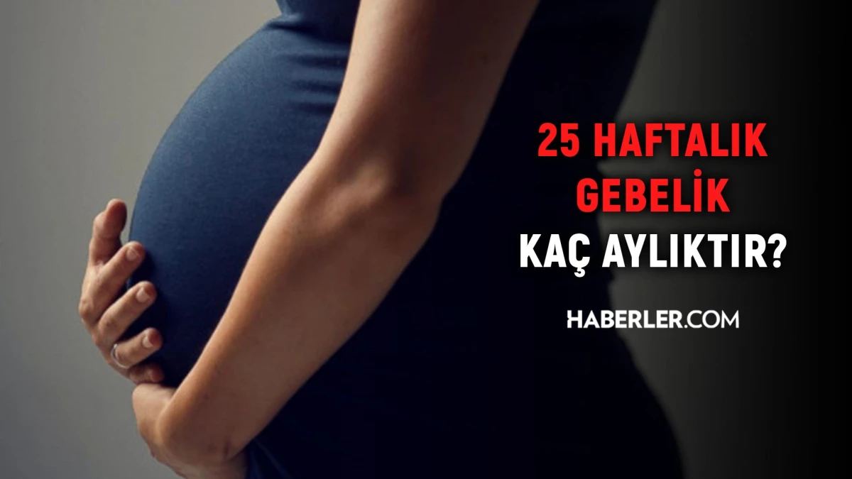 25 haftalık gebelik kaç aylık oluyor? Hamilelikte doğru bilinen yanlışlar!