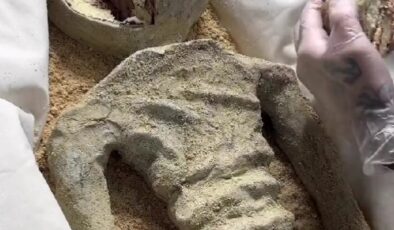 Bomba iddia! Meksika’nın bulduğu UFO fosili “pasta” çıktı