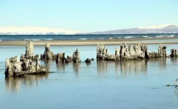Van Gölü Havzasında Endişe: Kuraklık Devam Ediyor