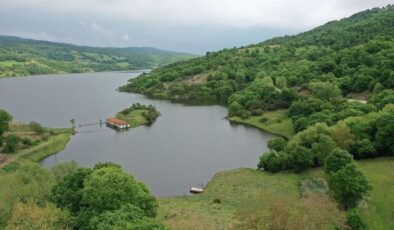 Manyas Barajı: Baharda Gözlerin Şahit Olduğu Doğal Olay
