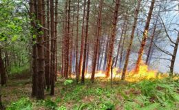 Kastamonu’da Orman Yangını: Ekiplerin Çalışmaları Sürüyor