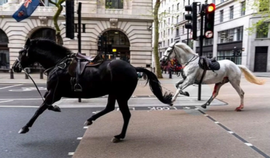 Londra’da Kraliyet Atları Kaosu: Paniğe Yol Açan Firar Olayı