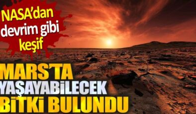 NASA’dan Çığır Açan Keşif: Mars’ta Hayatta Kalabilen Bitki Türü Keşfedildi