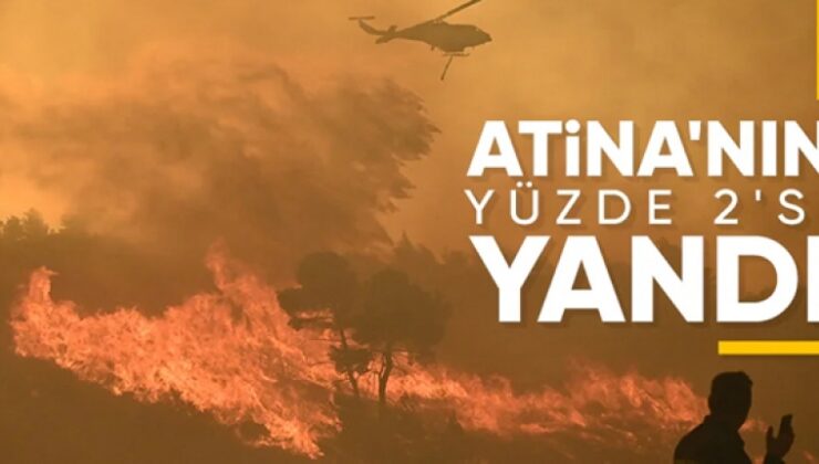 Yunanistan’daki Orman Yangınları: Attika Bölgesinin Yüzde 2’sinden Fazlası Yandı