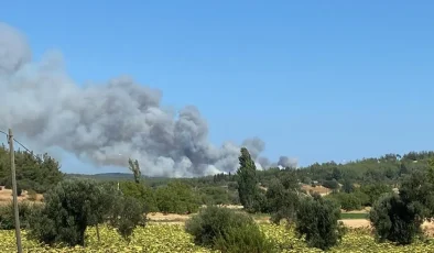 Çanakkale’deki Orman Yangını: Conkbayırı ve 57. Alay Şehitliği Ziyarete Kapatıldı