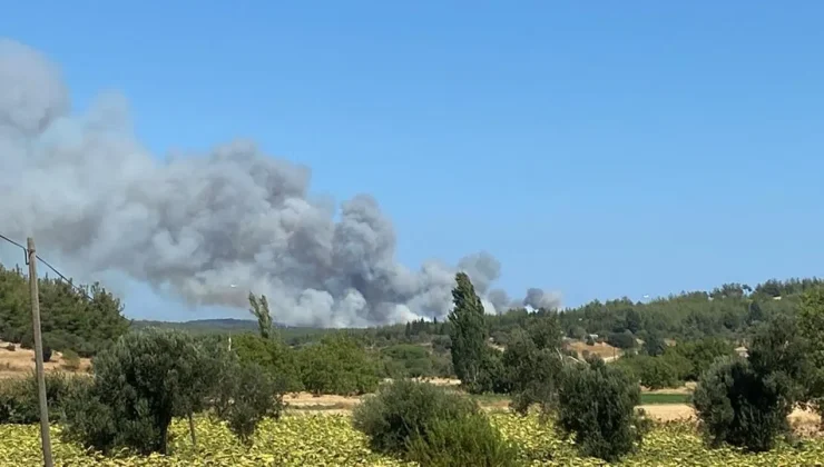 Çanakkale’deki Orman Yangını: Conkbayırı ve 57. Alay Şehitliği Ziyarete Kapatıldı