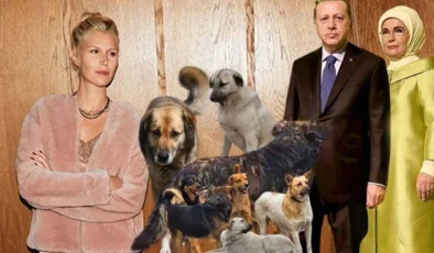 Derin Mermerci Erdoğan Ailesinden Sokak Köpekleri İçin Merhamet Dilendi