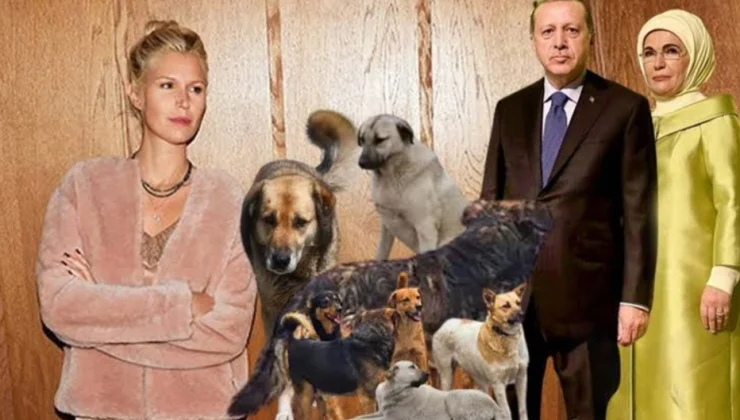 Derin Mermerci Erdoğan Ailesinden Sokak Köpekleri İçin Merhamet Dilendi