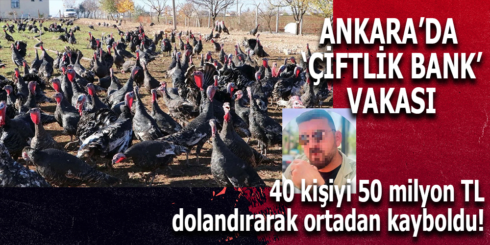 Ankara’da 50 Milyonluk Hindi Çiftliği Dolandırıcılığı: Yeni ‘Çiftlik Bank’ Vurgunu