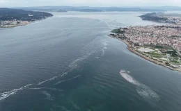 Çanakkaleli Balıkçılar Müsilaj Nedeniyle Zor Günler Geçiriyor!