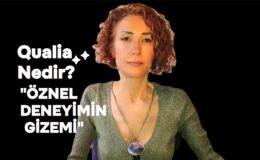 Görülmek İsteyen Bir Sessizlik