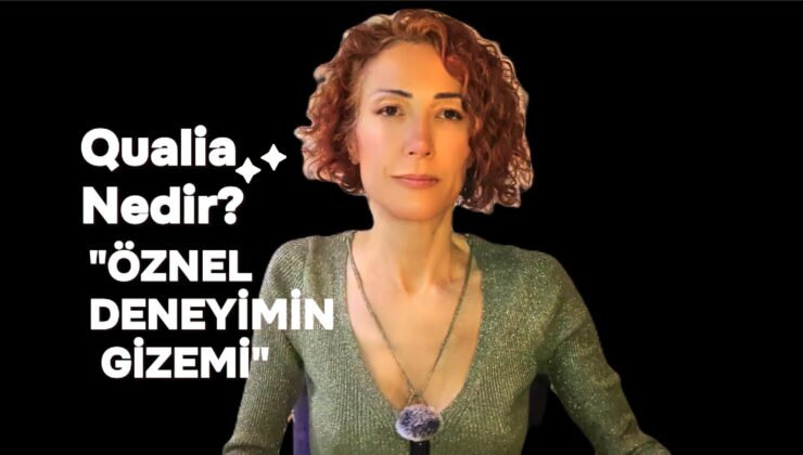 Görülmek İsteyen Bir Sessizlik
