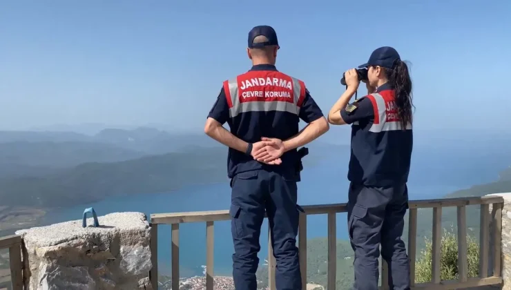 Muğla’da Yangın Alarmı: Ormanlık Alanlara Girişler Yasaklandı