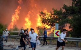 bursa’da orman yangını: sabotaj şüphesiyle 1 kişi gözaltında