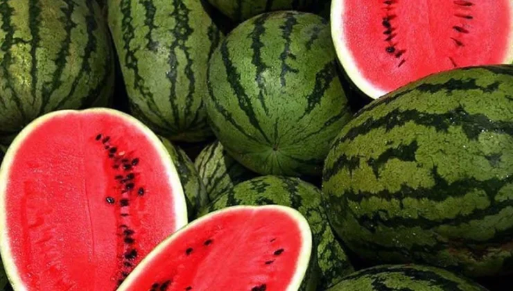 Karpuzda Plansız Ekim Fiyatları Vurdu: Tüketici de Üretici de Mağdur