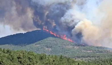 Harmancık’taki Yangına Havadan Ve Karadan Müdahale