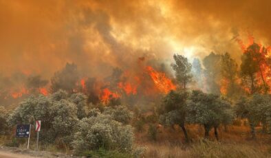 Orman Yangınlarıyla İlgili Gözaltılar Peş Peşe Geldi