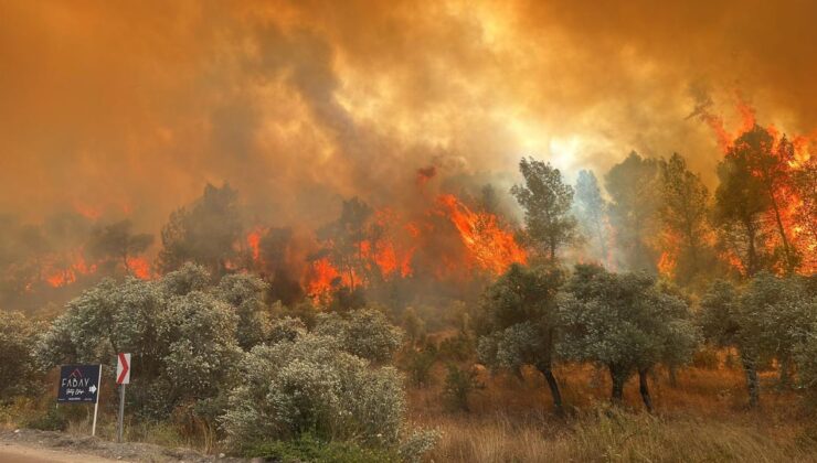 Orman Yangınlarıyla İlgili Gözaltılar Peş Peşe Geldi
