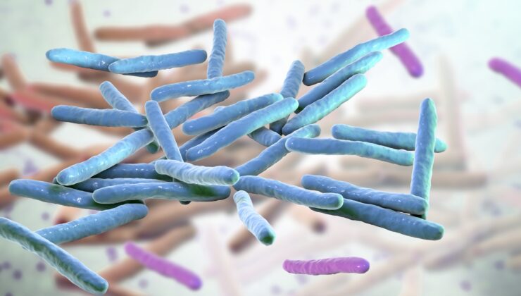 ROMANYA VE HIRVATİSTAN’DA 40 YIL SONRA CUZZAM ALARMI: SAĞLIK YETKİLİLERİ HAREKETE GEÇTİ