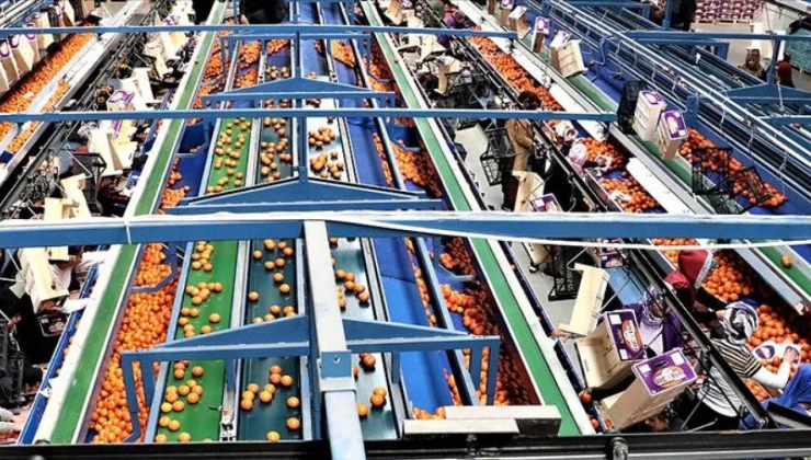 TÜRK GIDA İHRACATINDA KRİTİK UYARI: “4 ÜRÜNDEN 3’Ü AB STANDARTLARINA UYGUN DEĞİL” DENİLİYOR